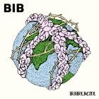 BIB - BIBLICAL