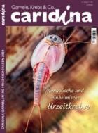 caridina 01/2024