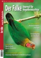 Der Falke - Journal fuer Vogelbeobachter 06/2025