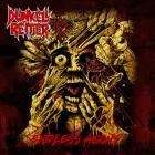 Dunkell Reiter - Endless Agony