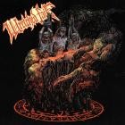 Wretched Fate - Incineration Of The Pious