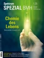 Spektrum Der Wissenschaft SPEZIAL Biologie Medizin Hirnforschung 01/2025