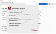 Adobe Acrobat Reader DC v2022.002.20191 Pre-Activated