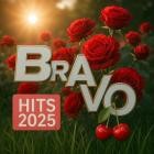 BRAVO Hits (18.06.2025)