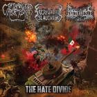 VA - The Hate Divide