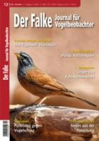 Der Falke - Journal fuer Vogelbeobachter 12/2024