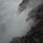 Like Rats-II-24BIT-48KHZ-WEB-FLAC-2016-FLACCiD