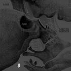 El Muerto - Lost and Amsterdamned