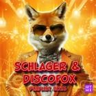 Schlager & Discofox 2025 - Die Hits für deine Tanzparty Vol.6