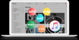 Pazu Apple Music Converter v1.7.7.0 (x64)