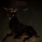 Kovtun - - Black Goat  