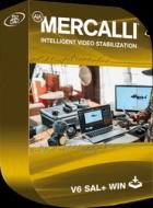 proDAD Mercalli V6 SAL v6.0.632.1 (x64)
