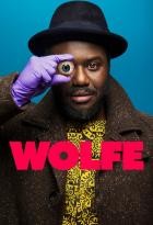 Wolfe - Staffel 1