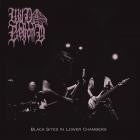 Wild Beyond - Black Sites in Lower Chambers