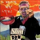 Slimdan - - To Anyone Who Cares  