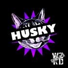 Insmnc X WZRD Gundlach - HUSKY
