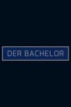 Der Bachelor - Staffel 13