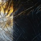 Juri Heidemann - INSTINKTLAB023