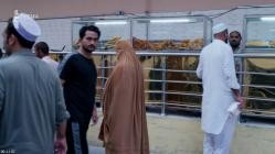 Pakistan.-.Atommacht.unter.Druck.GERMAN.DOKU.WS.HDTVRip.x264-Goodboy