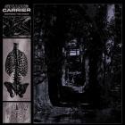 Shadecarrier - Despising The Shade