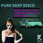 Pure Deep Disco Vol.1