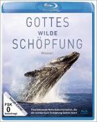 Gottes wilde Schöpfung - Wasser