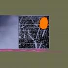 CB-R - Sojourn to Oblivion