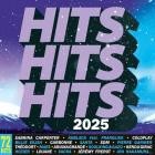 Hits Hits Hits 2025