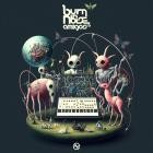 Burn In Noise - Burn In Noise & Amigos