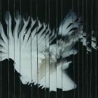 SCALER - Endlessly