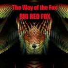Big Red Fox - The Way of the Fox