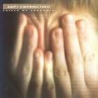 Safi Connection - Prince Of Paranoia