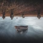 Singular Anomalies - Variabili Nascoste