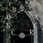 Bosco Sacro - Live at Chiesa Armena