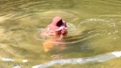 MeetMadden.21.08.04.Summer.Swim.XXX.1080p.MP4-LEWD