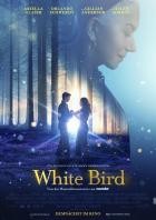 White Bird