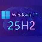 Windows 11 Pro 25H2 Build 26200.5074 (x64) Preactivated