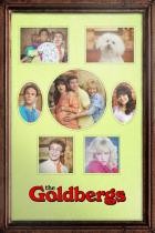 Die Goldbergs - Staffel 10