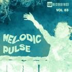 VA - Melodic Pulse, Vol  03