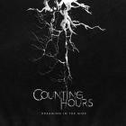 Counting Hours - Dreaming In The Mire