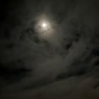 Cindytalk - - That We Must Pass Through This Life  