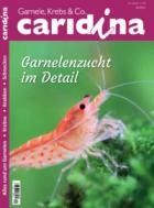 caridina 04/2025