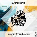 Stereojung - Voices From Polaris