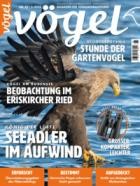 Voegel - Magazin fuer Vogelbeobachtung 87/2025