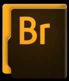 Adobe Bridge 2025 v15.0.2 (x64)