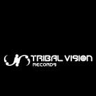 Vibrasphere - In Control