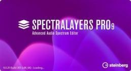 Steinberg SpectraLayers Pro v9.0.20 (x64)