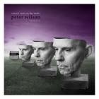 Peter Wilson - When I Turn On The Radio (Extended)
