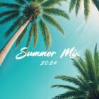 VA - Summer Mix 2024