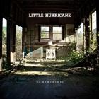 Little Hurricane - Homewrecker